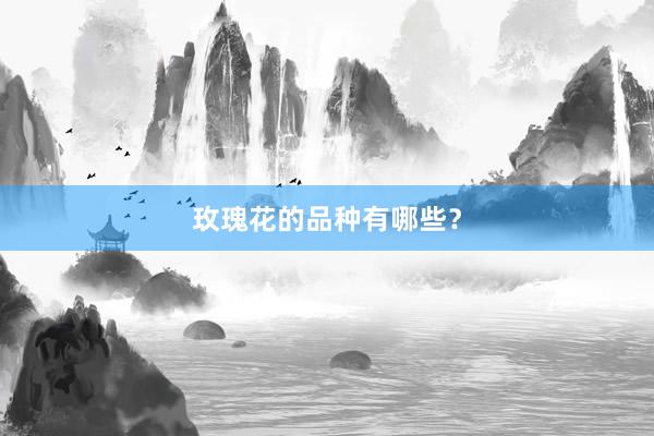 玫瑰花的品种有哪些？