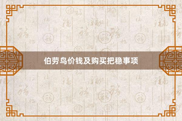 伯劳鸟价钱及购买把稳事项