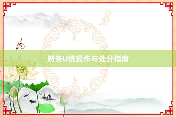 财务U统操作与处分指南